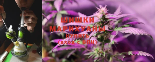 apvp Богородицк