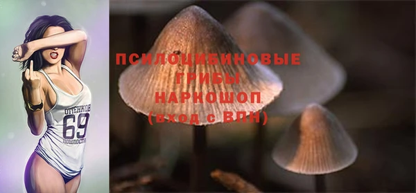 apvp Богородицк