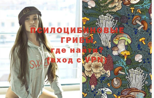 СК Богданович