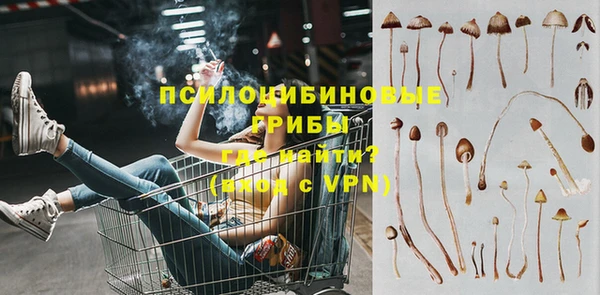 стафф Богородск